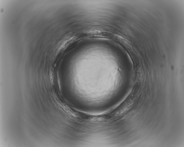 X0000070190762200606161551