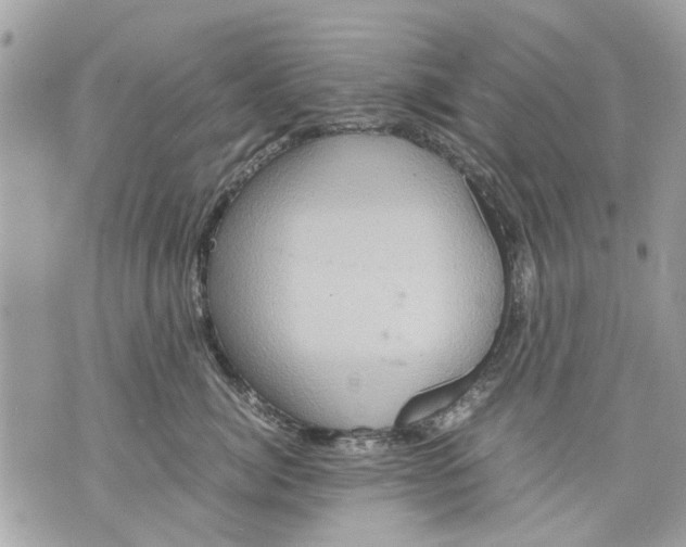 X0000070190764200606161551