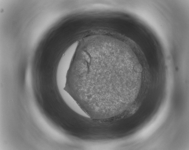 X0000070190765200606161551