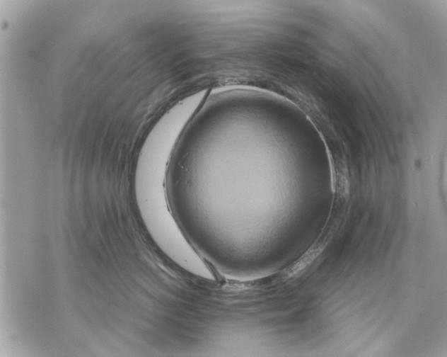 X0000070190766200606161551