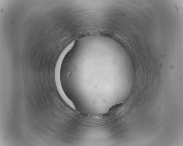 X0000070190768200606161551