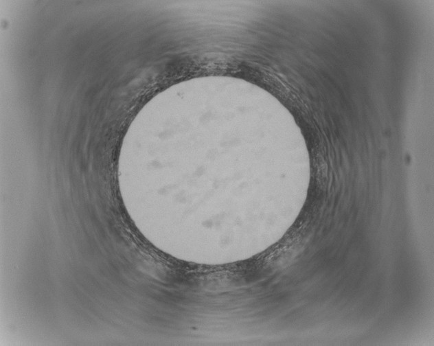 X0000070190769200606161550