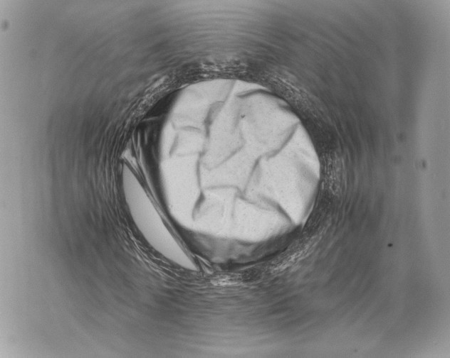 X0000070190770200606161550