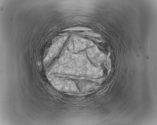 X0000070190771200606161550