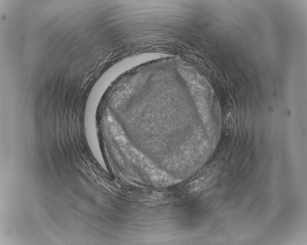 X0000070190772200606161550