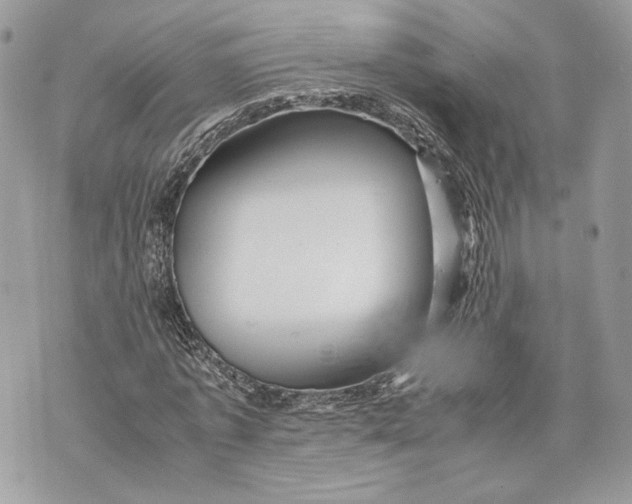 X0000070190773200606161550