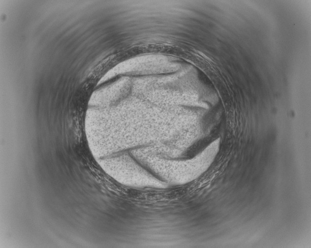 X0000070190774200606161550