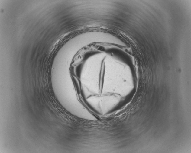 X0000070190776200606161550