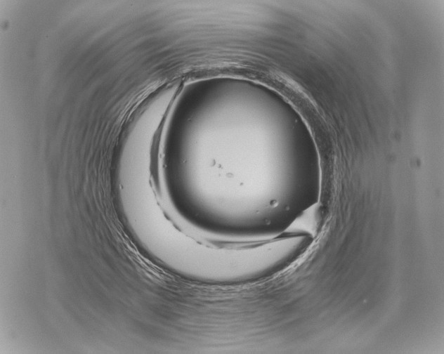 X0000070190777200606161550