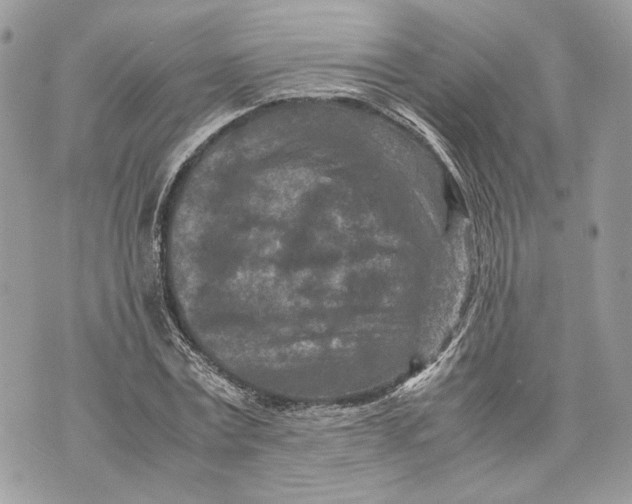 X0000070190779200606161550