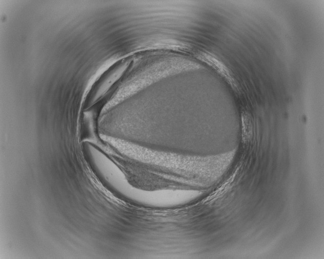 X0000070190780200606161550