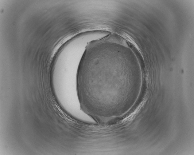 X0000070190781200606161550