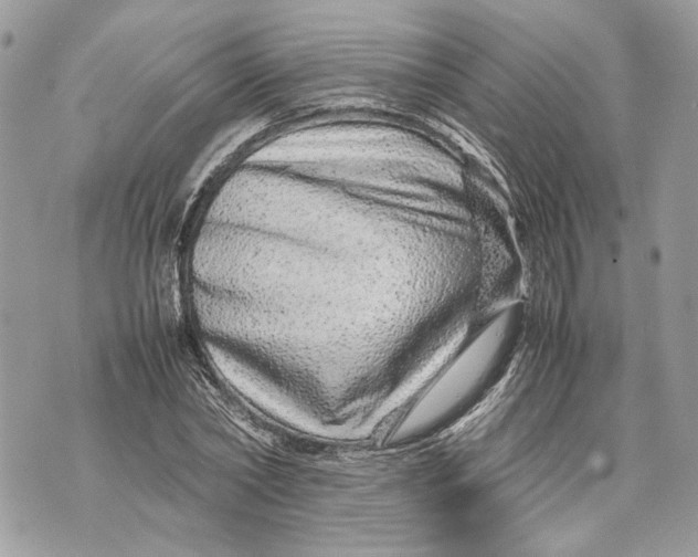 X0000070190782200606161550