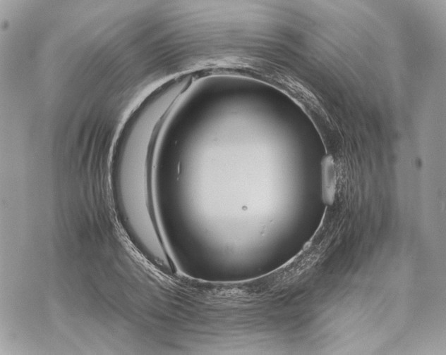 X0000070190784200606161550