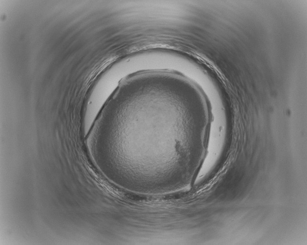 X0000070190785200606161550