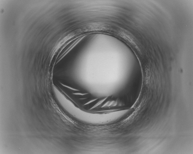 X0000070190786200606161550