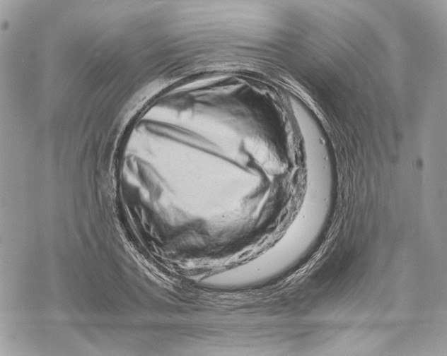 X0000070190787200606161550