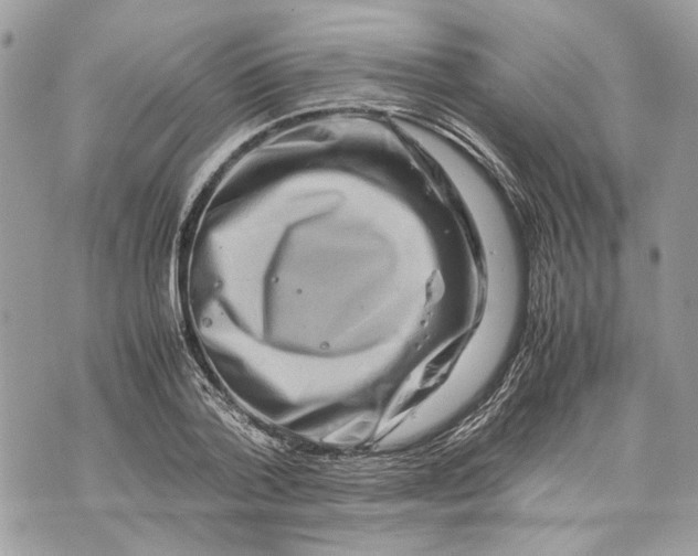 X0000070190788200606161550