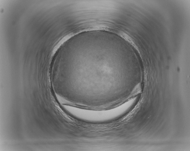 X0000070190789200606161550