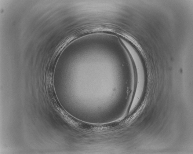 X0000070190793200606161550