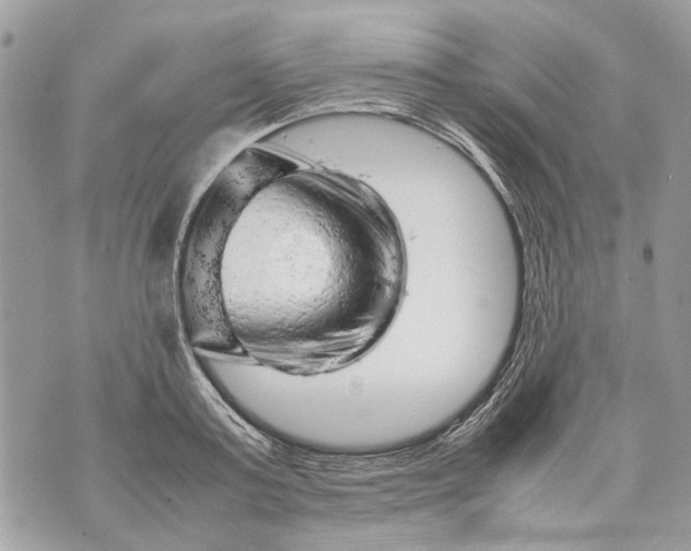 X0000070190795200606161550