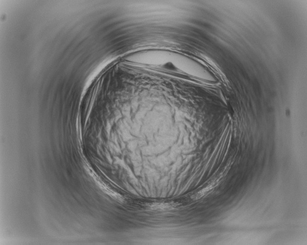 X0000070190796200606161550