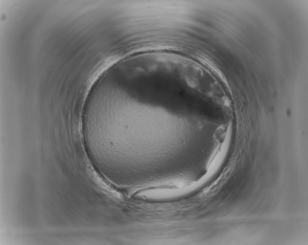 X0000070190797200606161549