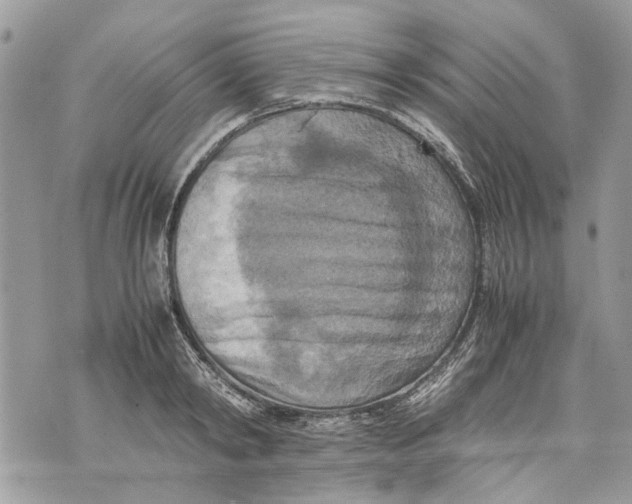 X0000070190798200606161549