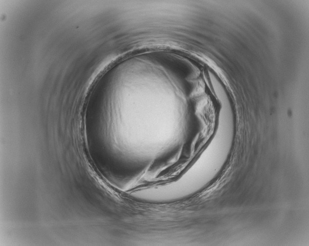 X0000070190799200606161549