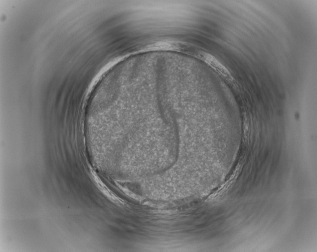 X0000070190800200606161549