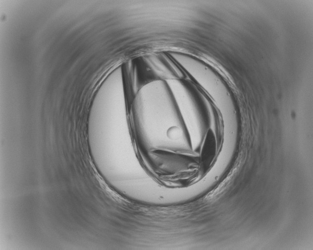 X0000070190801200606161549