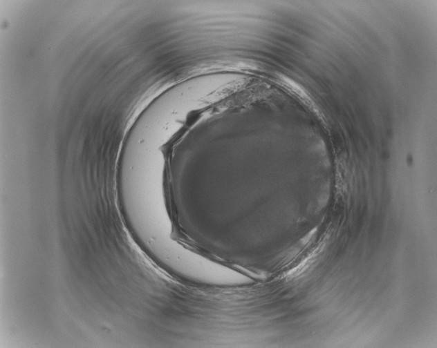 X0000070190802200606161549