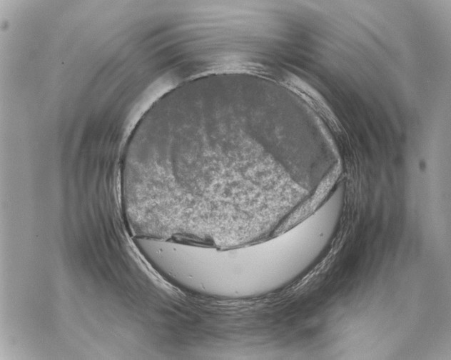 X0000070190804200606161549