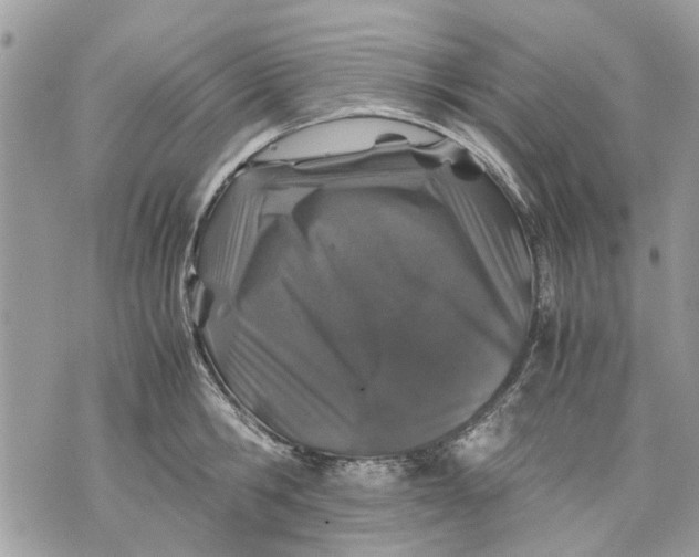 X0000070190806200606161549