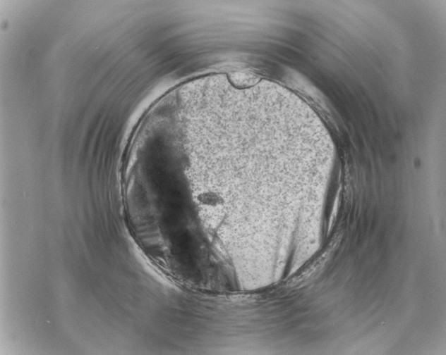 X0000070190808200606161549