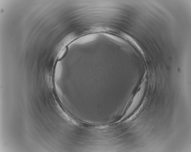 X0000070190810200606161549