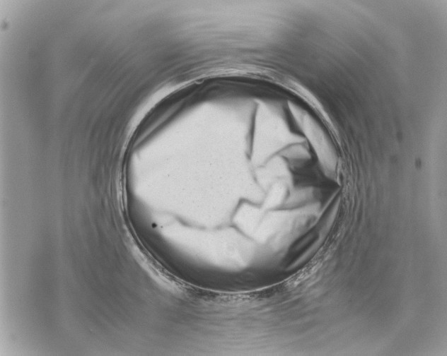 X0000070190811200606161549