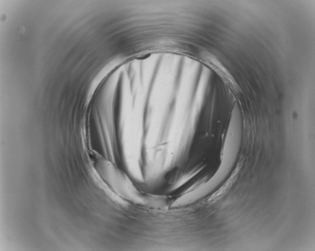 X0000070190812200606161549