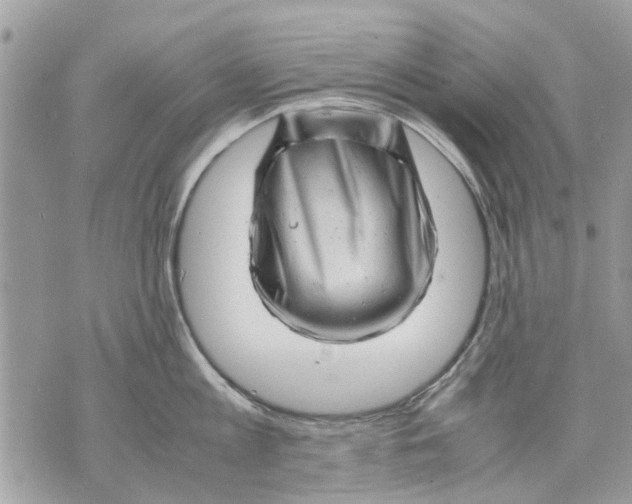 X0000070190813200606161549