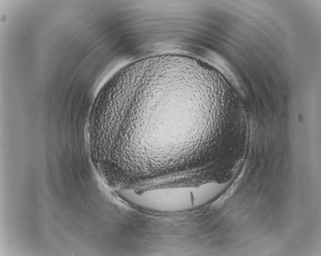 X0000070190814200606161549