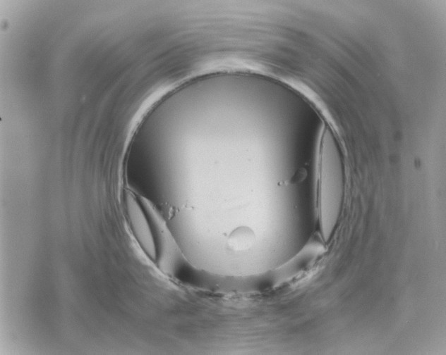 X0000070190815200606161549