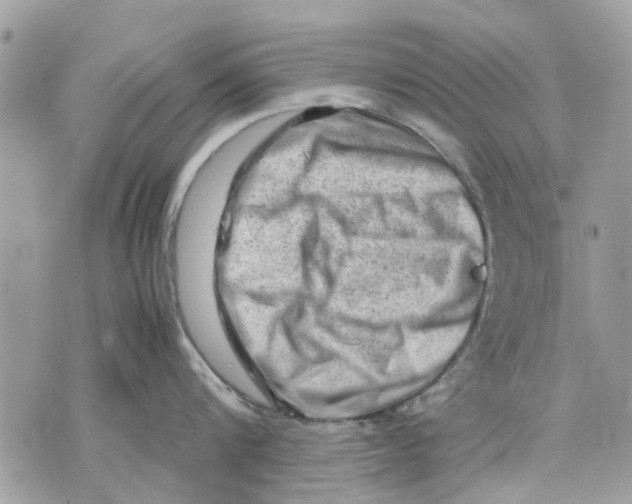 X0000070190816200606161549