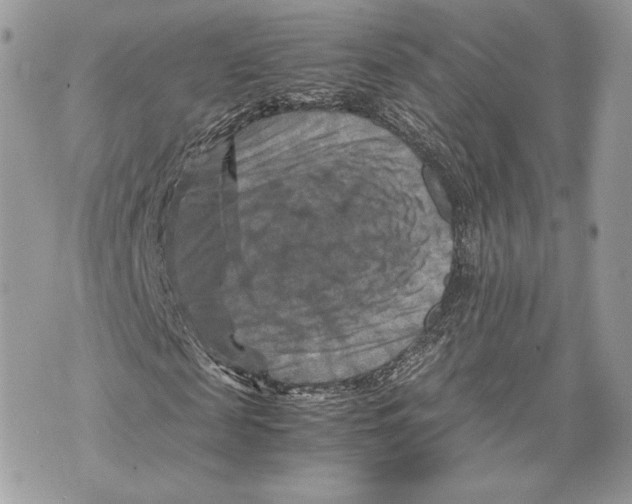 X0000070190817200606161548