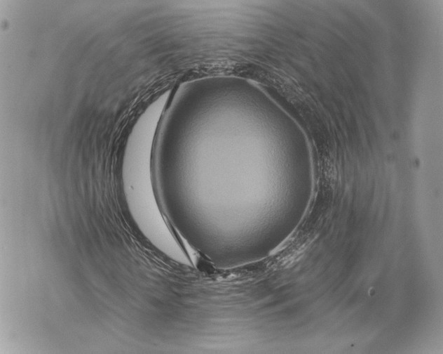 X0000070190818200606161548