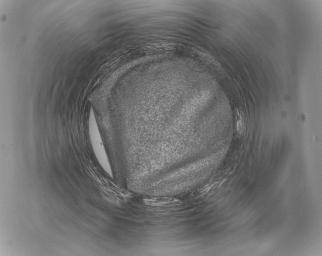 X0000070190819200606161548