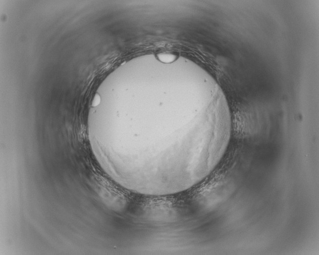 X0000070190820200606161548