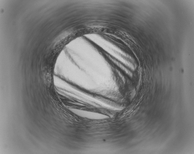 X0000070190821200606161548