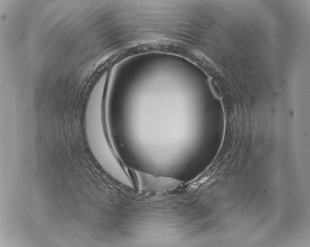 X0000070190822200606161548