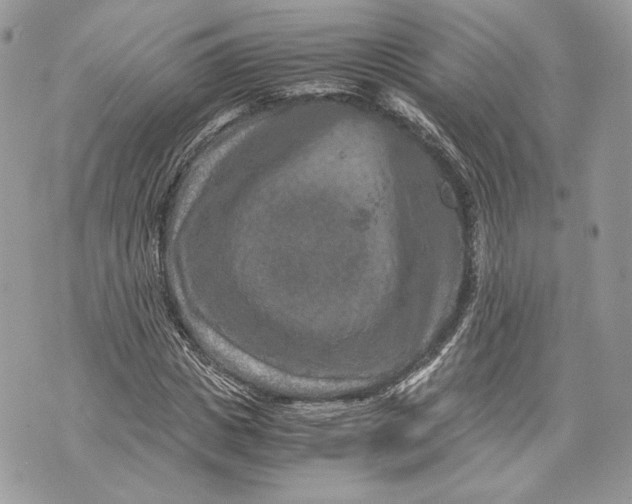 X0000070190825200606161548