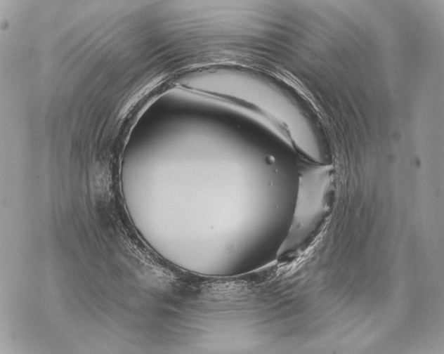 X0000070190826200606161548